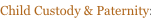 shapeimage_1_link_0